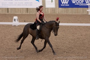 Lusitano Breed Society of Great Britain Show - Hartpury College - 27th June 2009